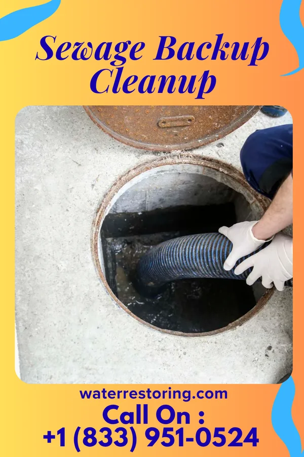 Sewage Backup Cleanup in Headland, AL